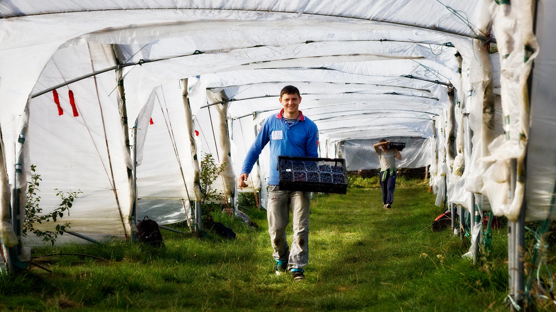 Our Growers Angus Soft FruitsAngus Soft Fruits