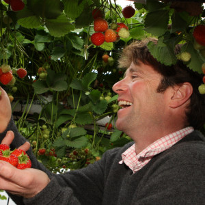 john-lang_website-300×300