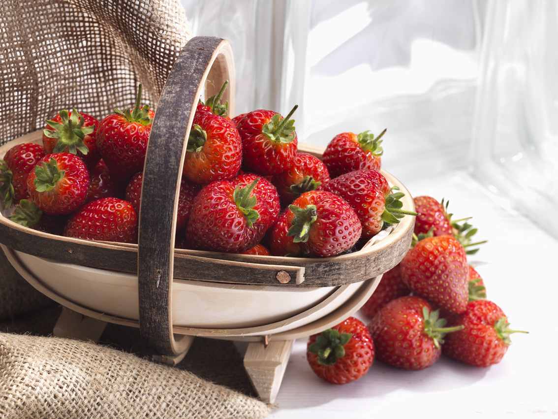 blush basket
