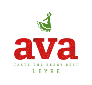 ava-leyre-300×278