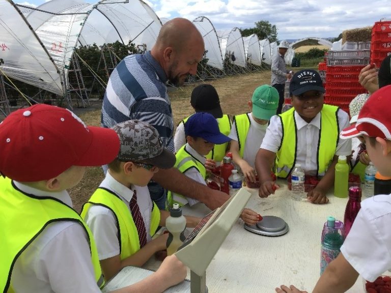 School visit to Salford Priors Angus Soft FruitsAngus Soft Fruits