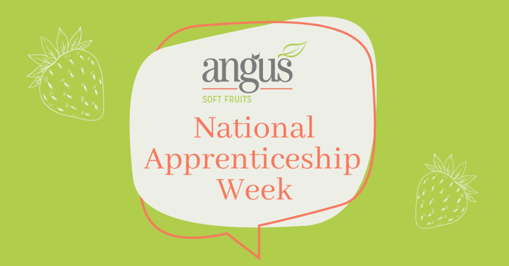 Celebrating National Apprenticeship Week at Angus Soft Fruits