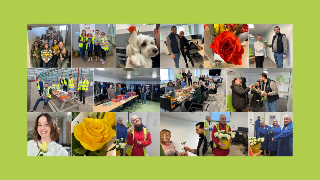 International Women’s Day & Employee Appreciation Day