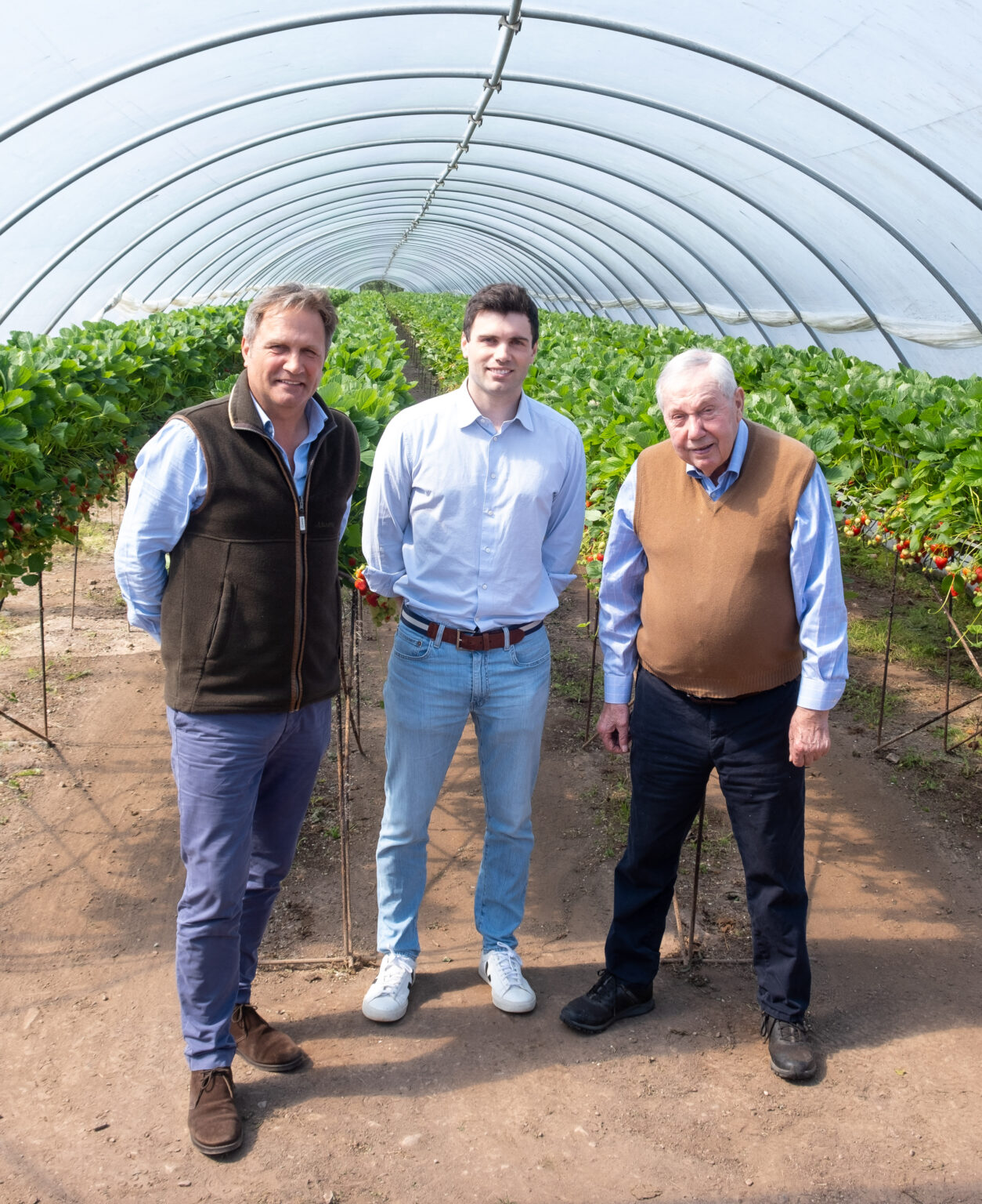 Angus Soft Fruits - The Berry Specialists