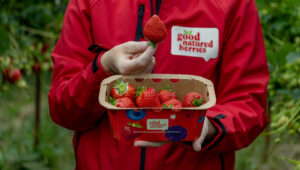 Angus Soft Fruits - The Berry Specialists