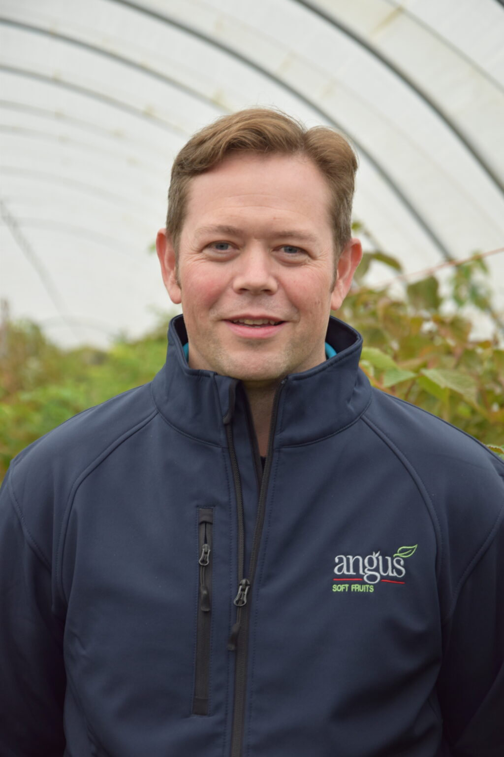 Angus Soft Fruits - The Berry Specialists