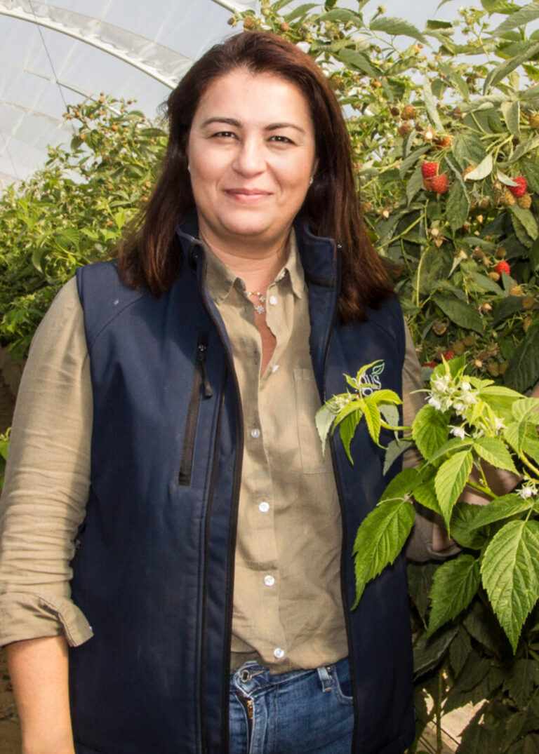 Angus Soft Fruits - The Berry Specialists